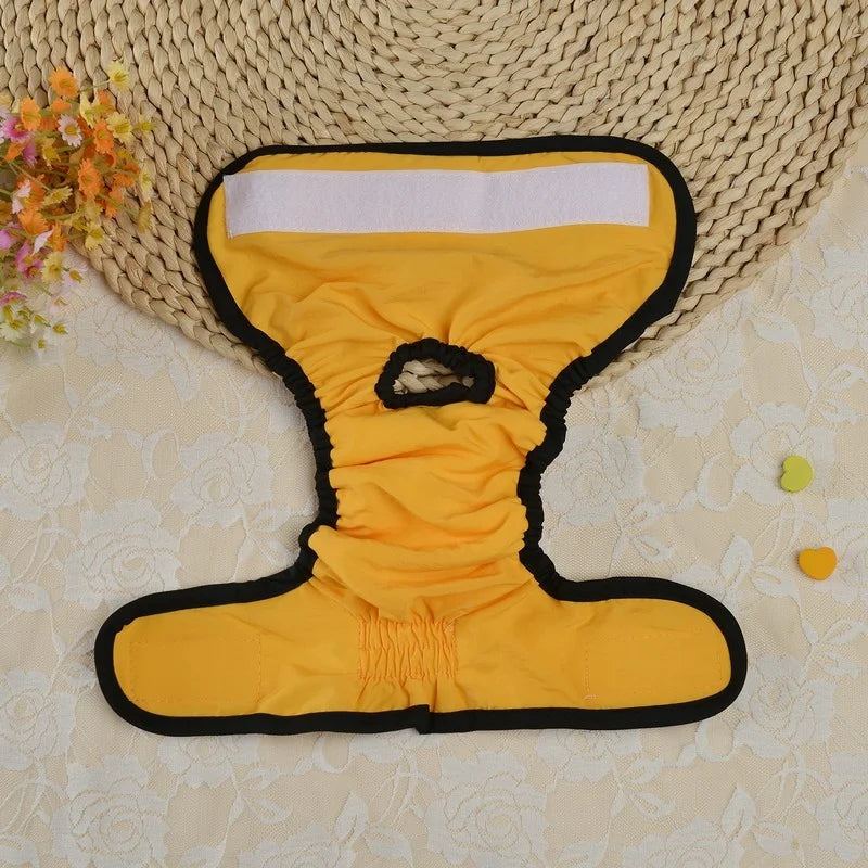 Braguitas menstruales para cachorros
