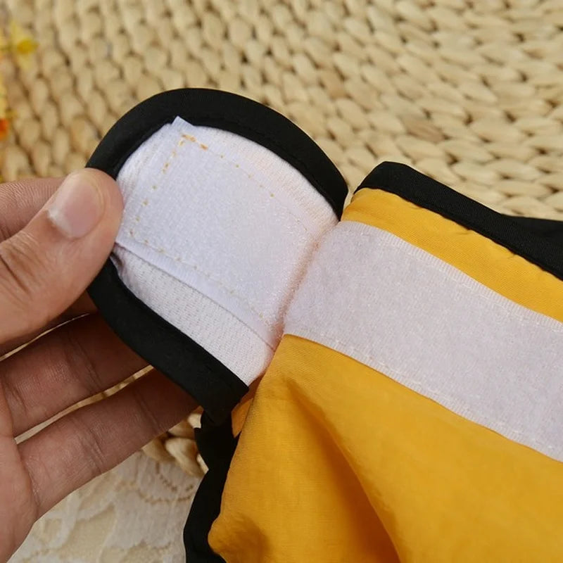 Braguitas menstruales para cachorros