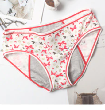 Teeni Bikini Period Panties