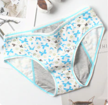 Teeni Bikini Period Panties