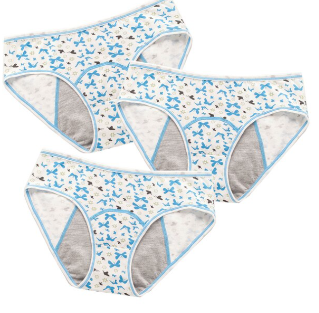 Teeni Bikini Period Panties